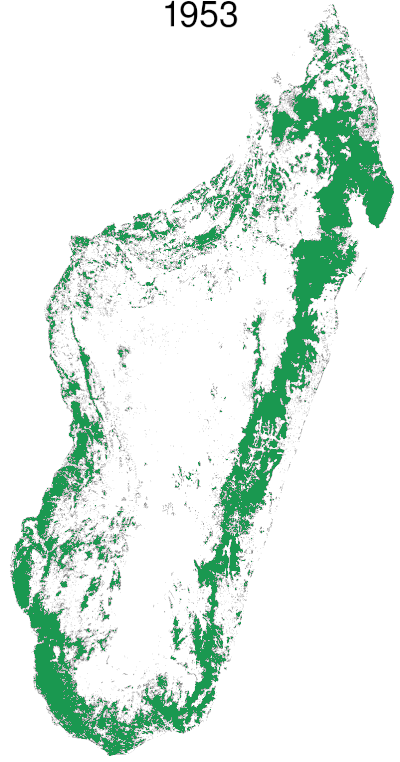 deforestation-madagascar-image
