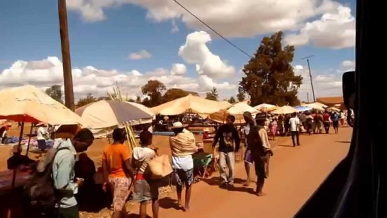 VIDEO. Une Française raconte son voyage humanitaire à Madagascar