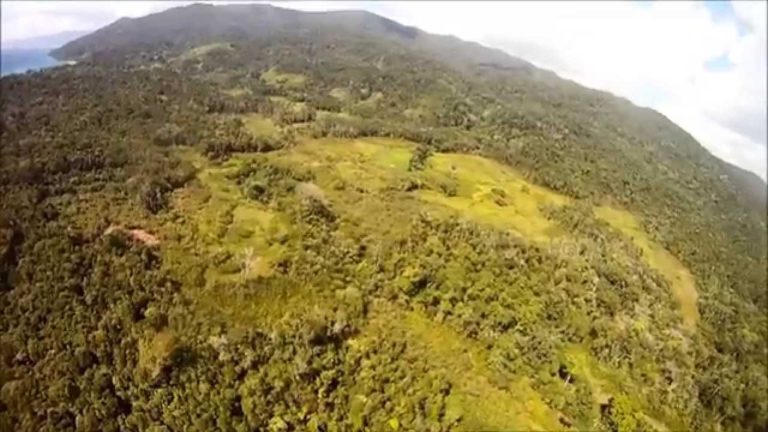 VIDEO. Voici Masoala, une des dernières forêts primaires malgaches