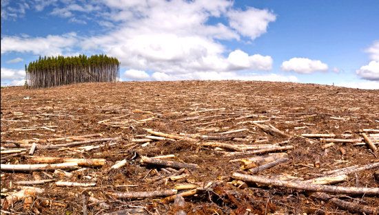 L’évolution de la déforestation de Madagascar depuis 1954. Consternant !