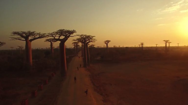 VIDEO. Quand un fabricant de drone chinois fait une vidéo sur Madagascar