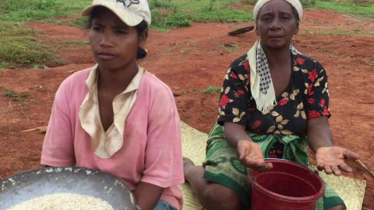 VIDEO. Quand la folie des « Mannequin Challenge » gagne Madagascar