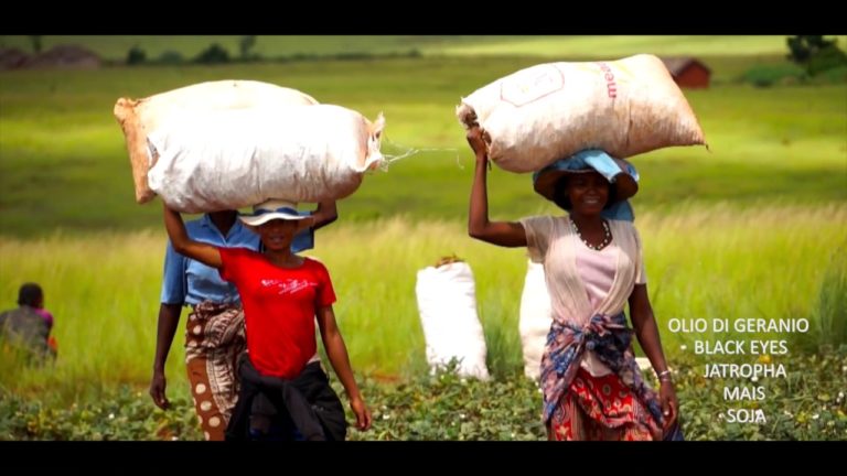 Une vidéo sur le commerce équitable à Madagascar