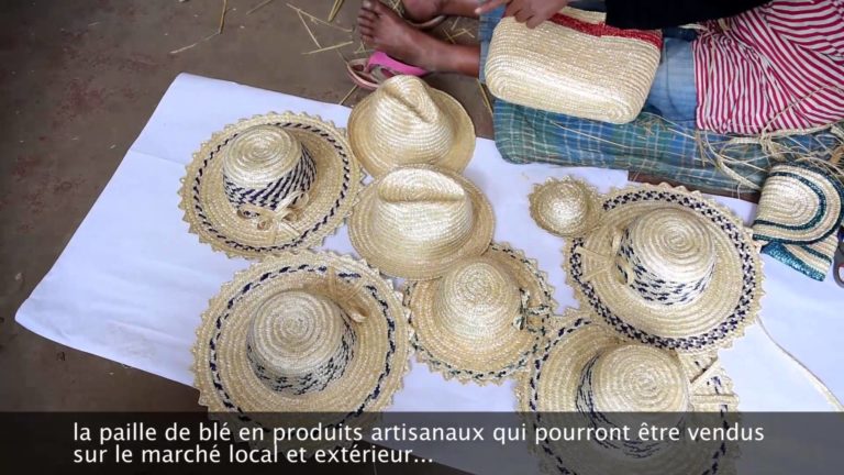 VIDEO. Un reportage sur l’artisanat en paille de blé dans la région Vakinakaratra