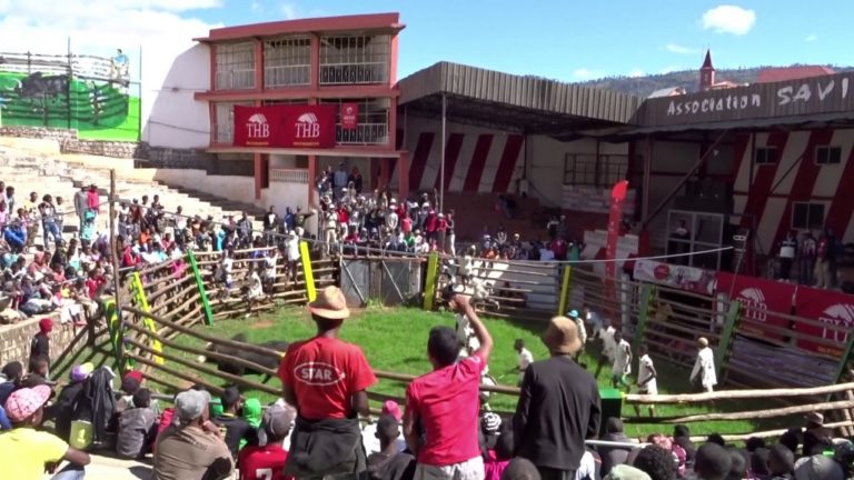 VIDEO. L’ambiance d’un spectacle de Tolon’omby, une tradition pratiquée dans tout Madagascar