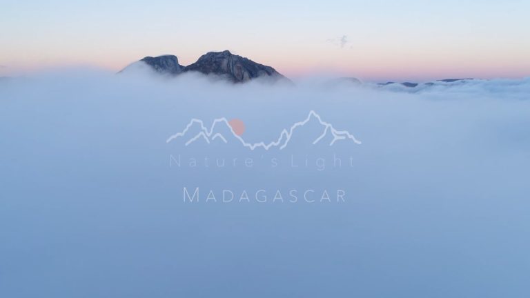 VIDEO. Quand Madagascar est filmé avec un œil averti et professionnel