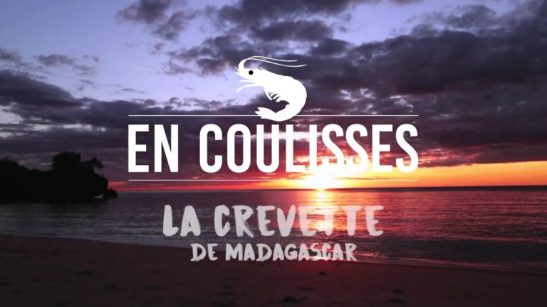 VIDEO. C’est à Madagascar que Picard cherche les crevettes pour ses plats