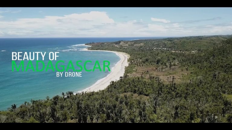 VIDEO. Découvrez la beauté de Marojejy, Antalaha et Sambava par drone