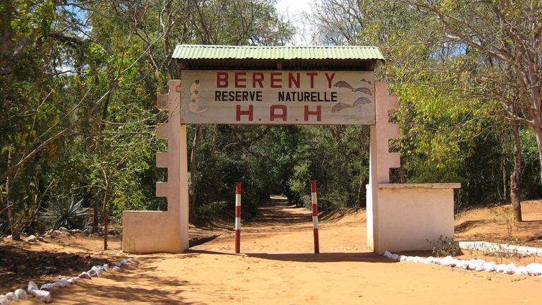 VIDEO. Un reportage sur la biodiversité exceptionnelle de la réserve de Berenty