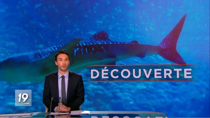 requin-baleine-nosy-be