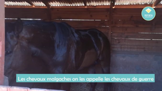 tourisme-equestre-madagascar