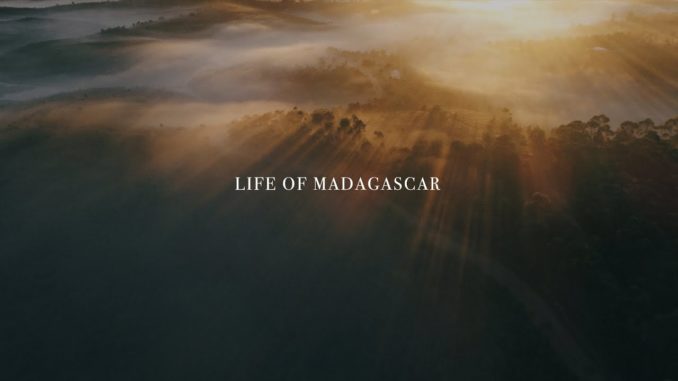 VIDEO. « Life of Madagascar », une vidéo qui dégage un maximum d’émotion