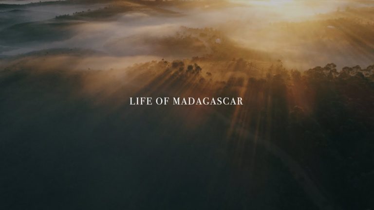 VIDEO. « Life of Madagascar », une vidéo qui dégage un maximum d’émotion