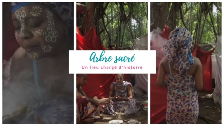 VIDEO. Une présentation mystique de l’arbre sacré de Mahatsinjo à Nosy be