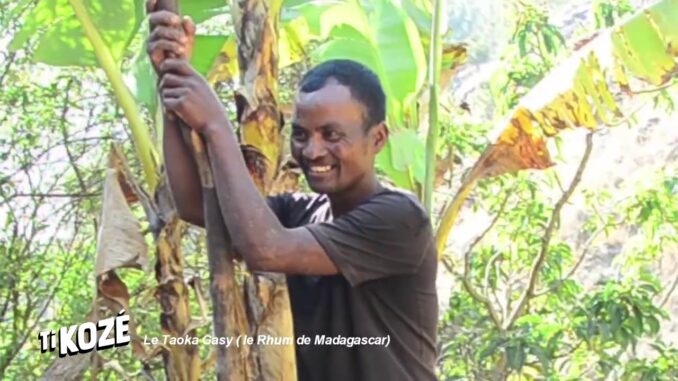 VIDEO. Un documentaire sur le Toaka gasy, le rhum de Madagascar