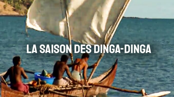 VIDEO. Un reportage sur la pêche de concombres de mer sur l’île Mitsio