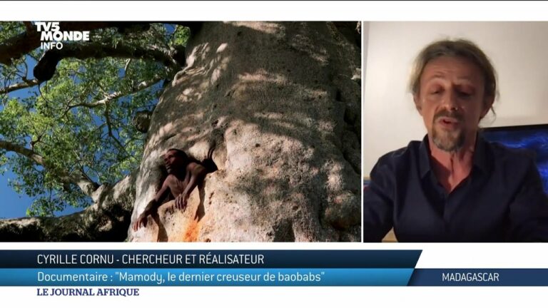 VIDEO. Les creuseurs de baobabs n’existent qu’à Madagascar